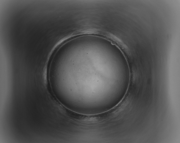 X0000100931174200806241359