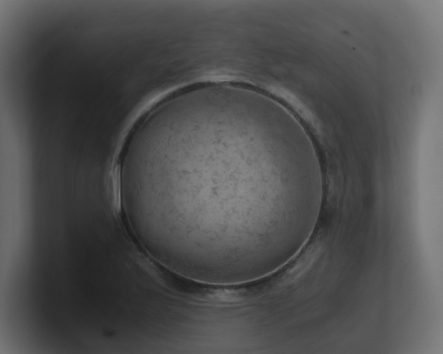 X0000100931175200806241359