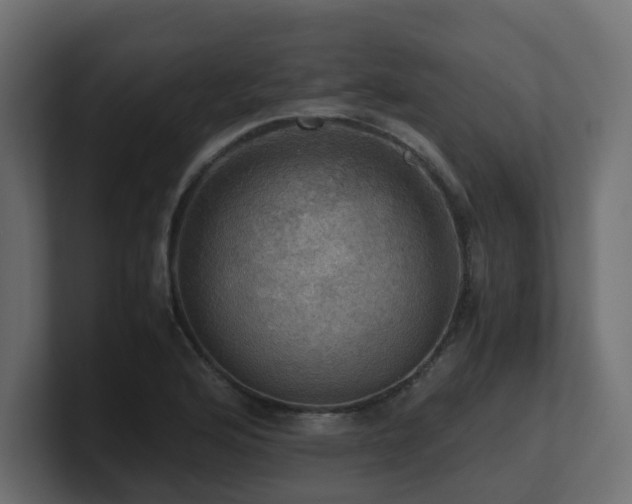 X0000100931176200806241359