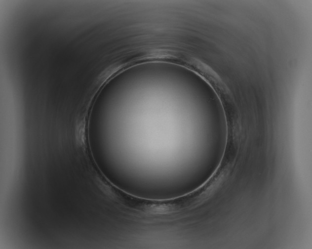 X0000100931177200806241359