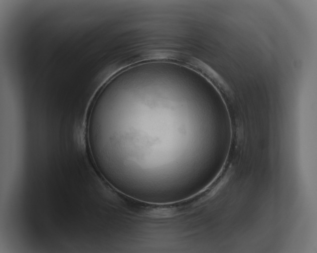 X0000100931178200806241359