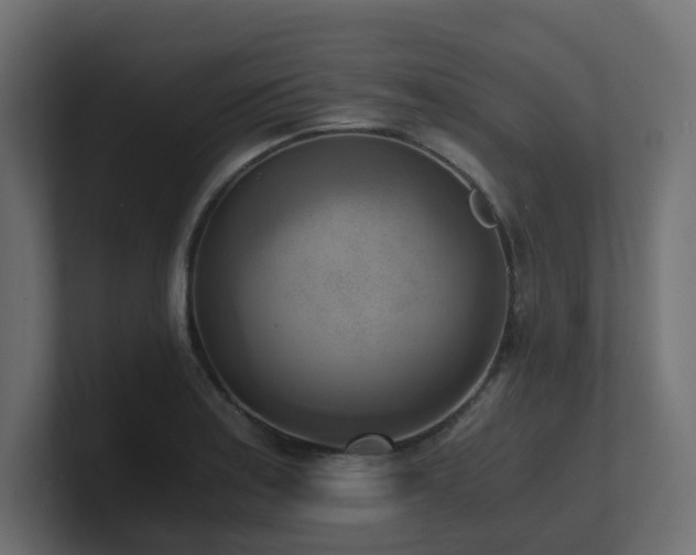 X0000100931179200806241359