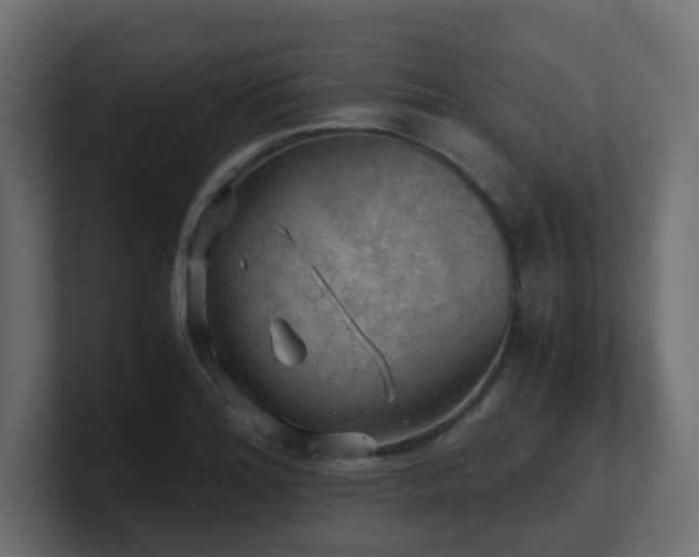 X0000100931180200806241359