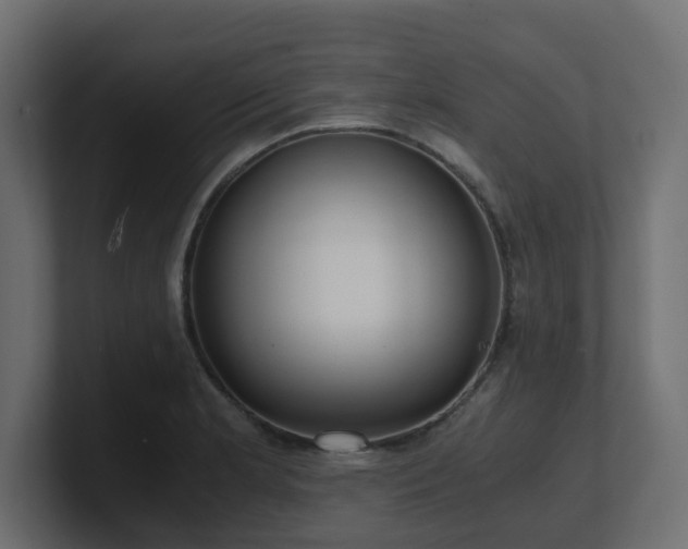 X0000100931181200806241359