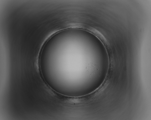 X0000100931182200806241359