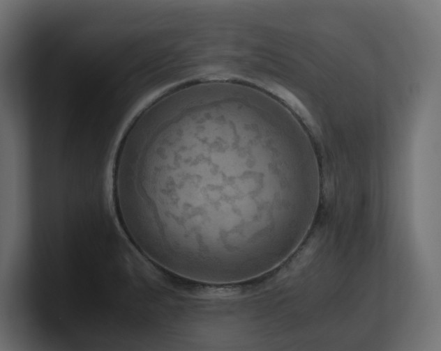 X0000100931183200806241359