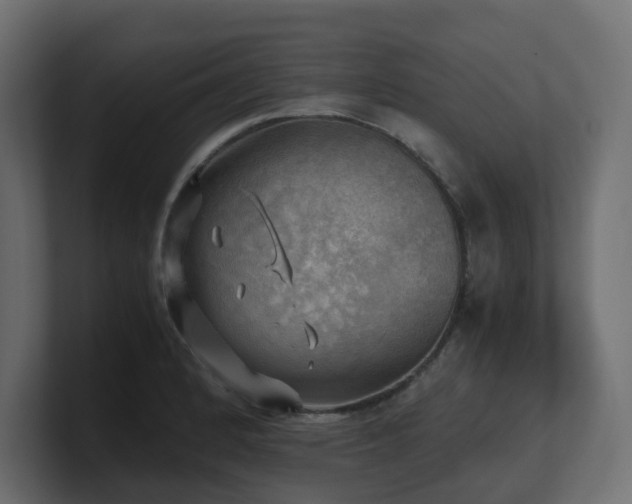 X0000100931184200806241359