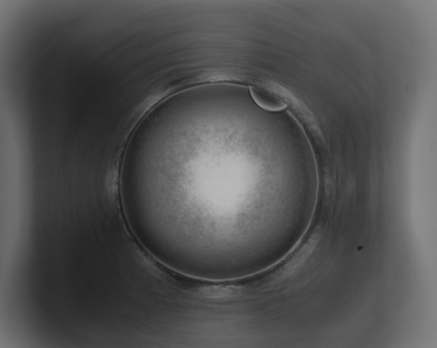 X0000100931185200806241359