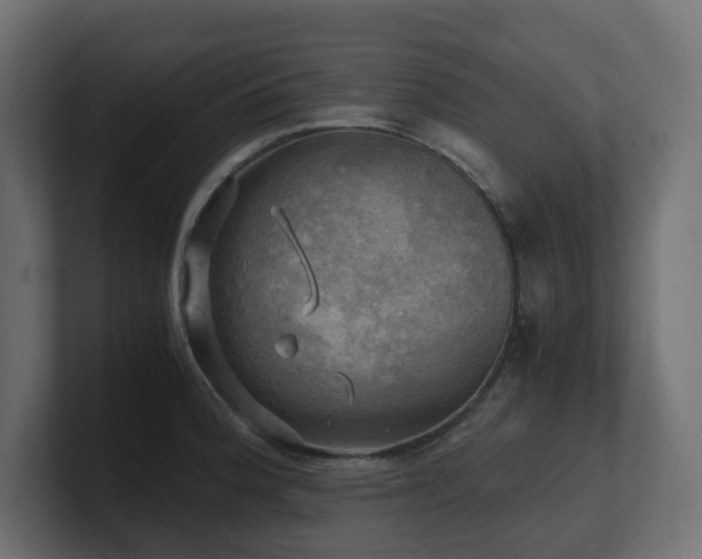 X0000100931188200806241359