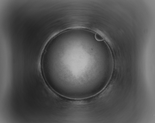 X0000100931189200806241359