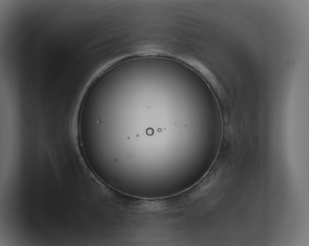 X0000100931191200806241358