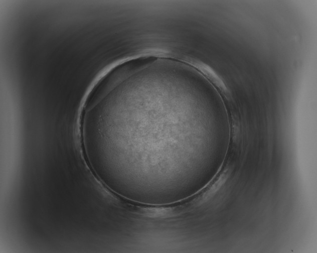 X0000100931192200806241358