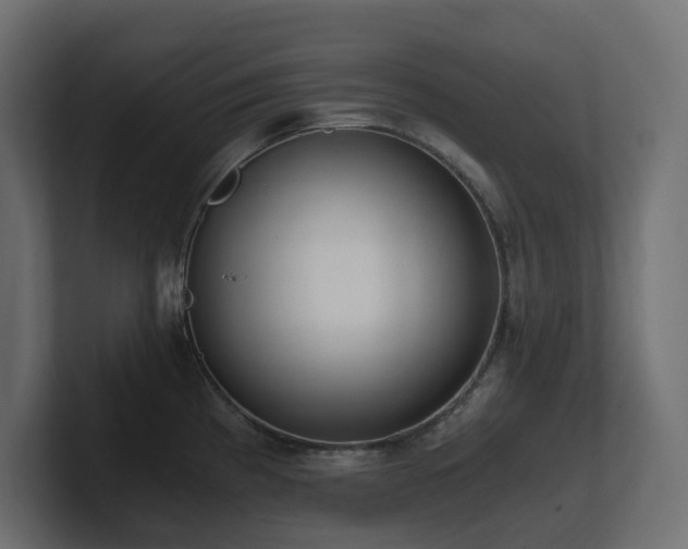 X0000100931193200806241358