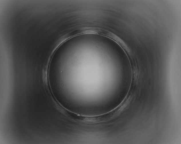 X0000100931194200806241358