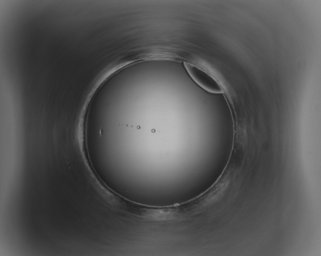 X0000100931195200806241358