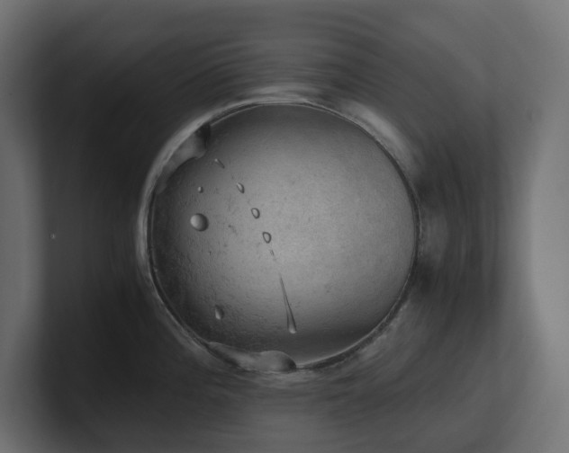 X0000100931196200806241358