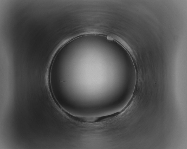 X0000100931197200806241358