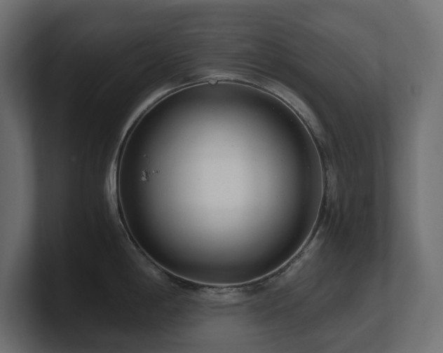 X0000100931198200806241358