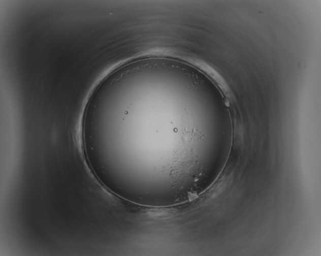 X0000100931199200806241358