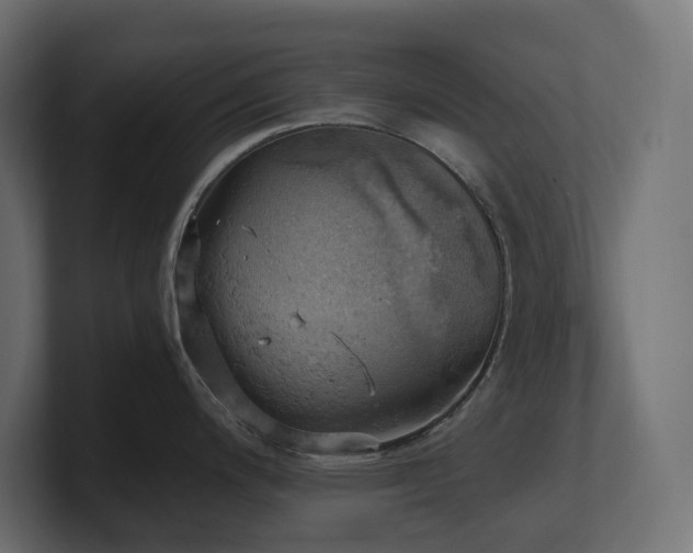 X0000100931200200806241358