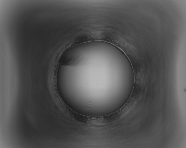 X0000100931201200806241358