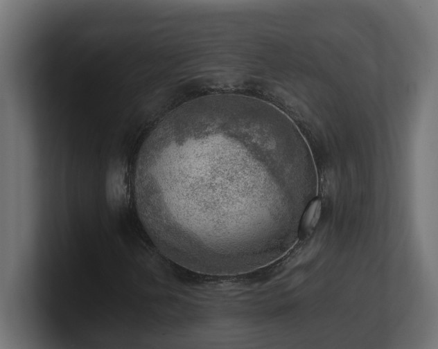 X0000100931202200806241358