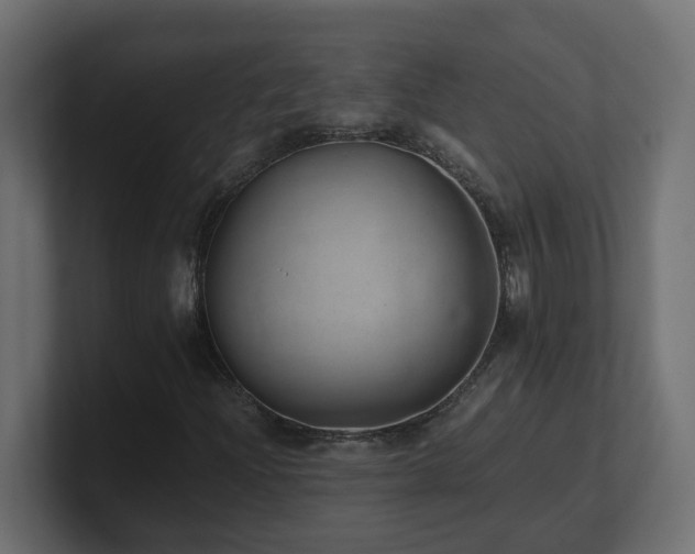 X0000100931204200806241358