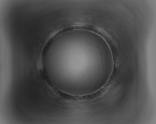 X0000100931208200806241358