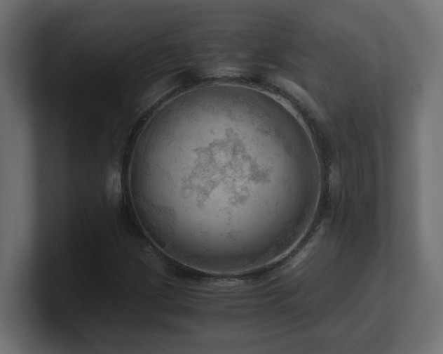 X0000100931209200806241358