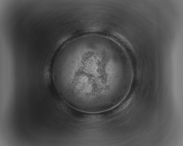 X0000100931210200806241358