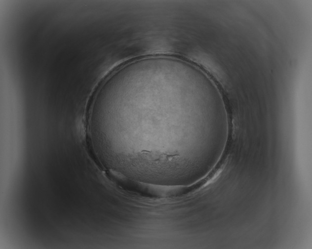 X0000100931212200806241358