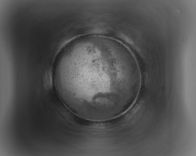 X0000100931214200806241358