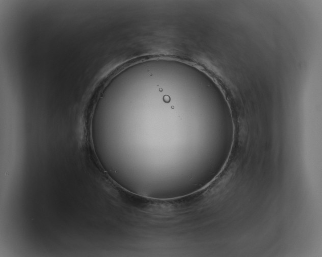 X0000100931215200806241358