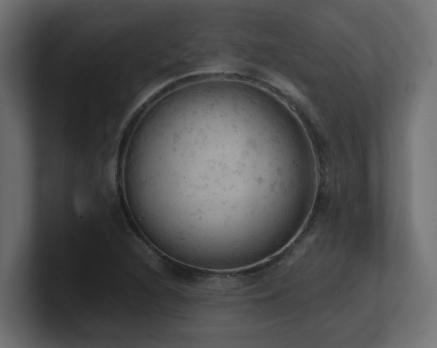 X0000100931216200806241358