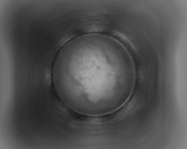 X0000100931217200806241358