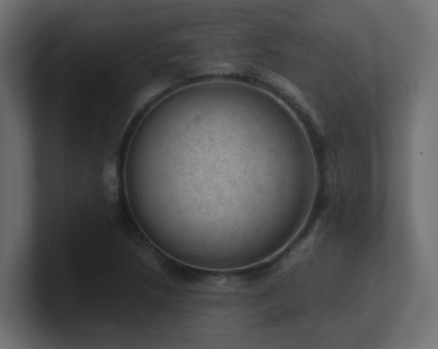 X0000100931218200806241358