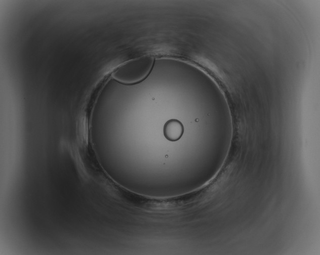 X0000100931219200806241358