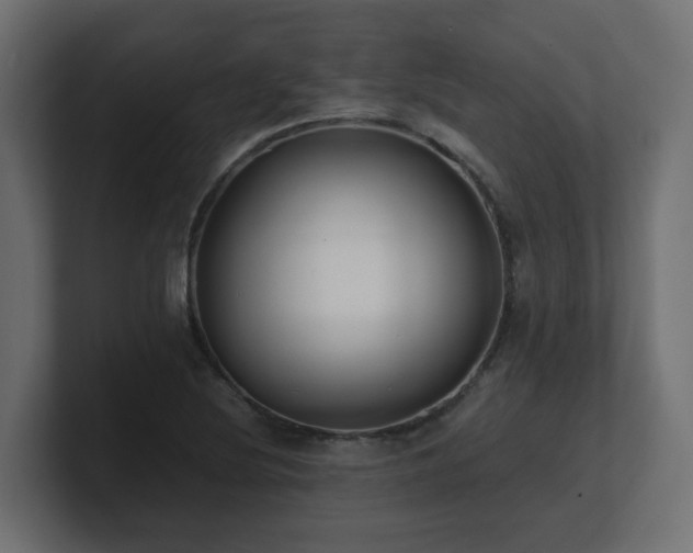 X0000100931220200806241358