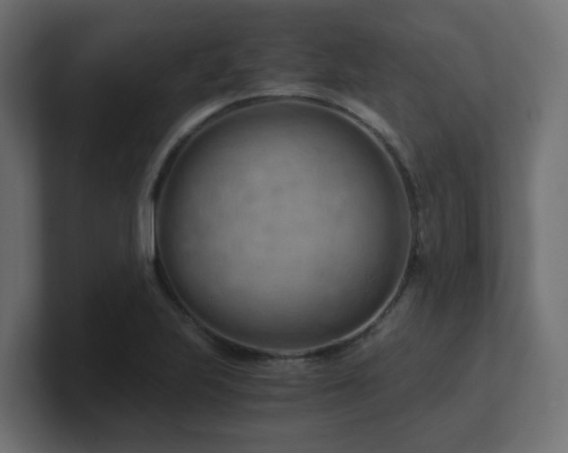 X0000100931223200806241358