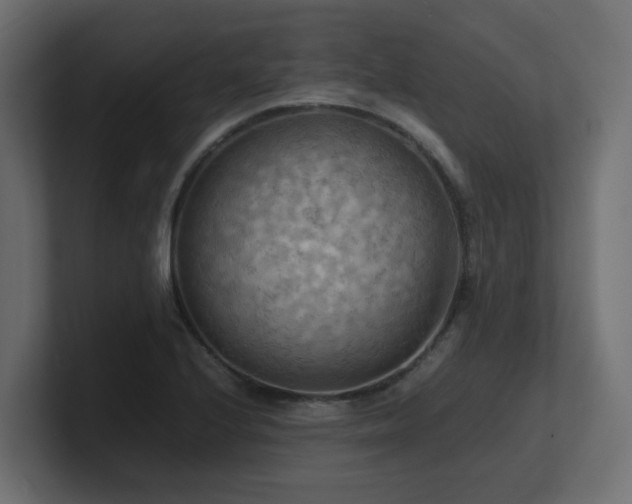 X0000100931224200806241358