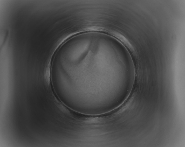 X0000100931228200806241358