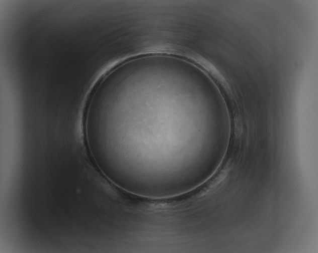 X0000100931230200806241358