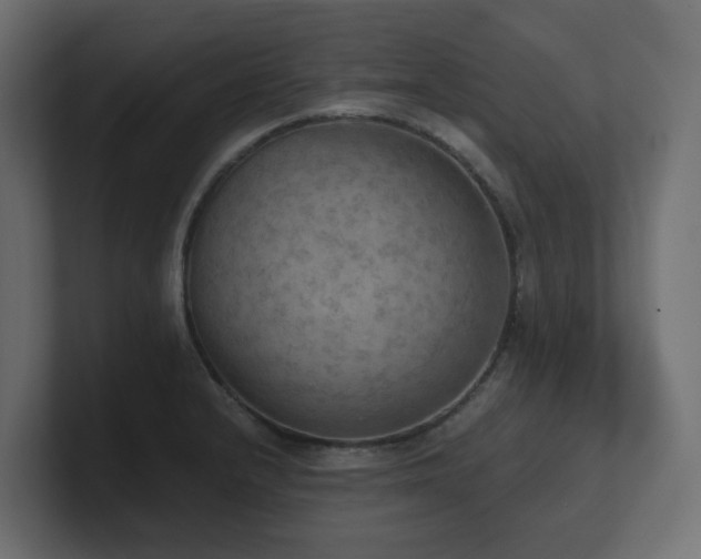 X0000100931232200806241358