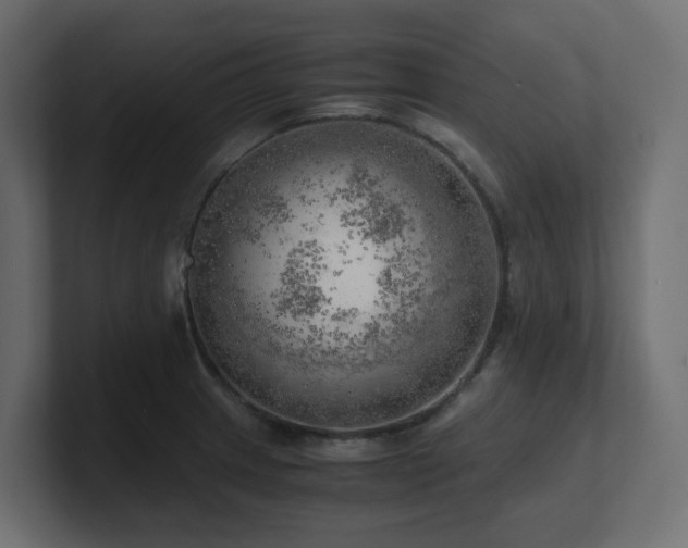 X0000100931233200806241358