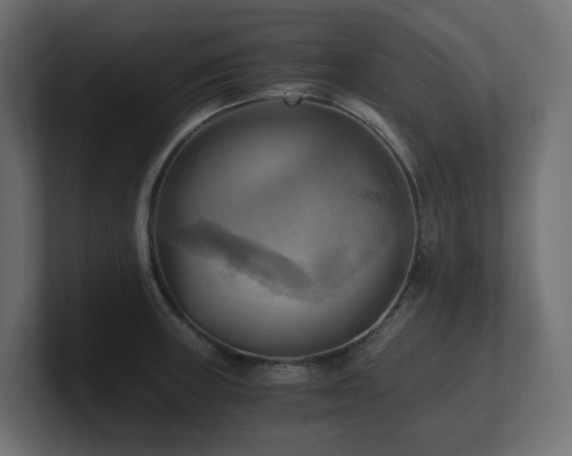 X0000100931235200806241358