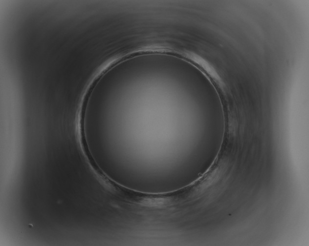 X0000100931237200806241358