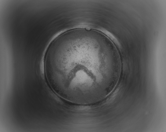 X0000100931238200806241358