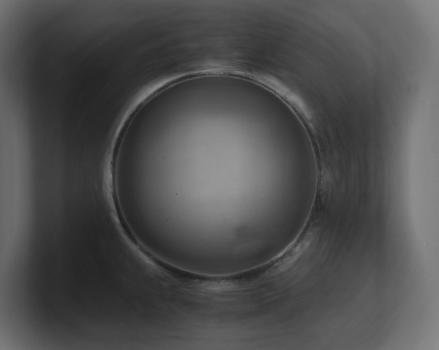 X0000100931239200806241358