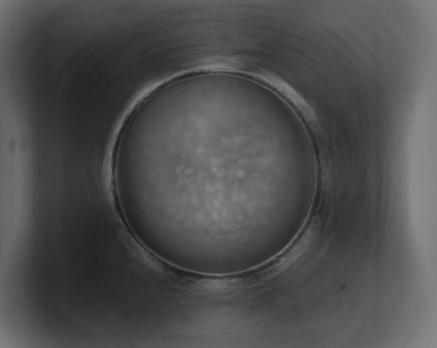 X0000100931240200806241358