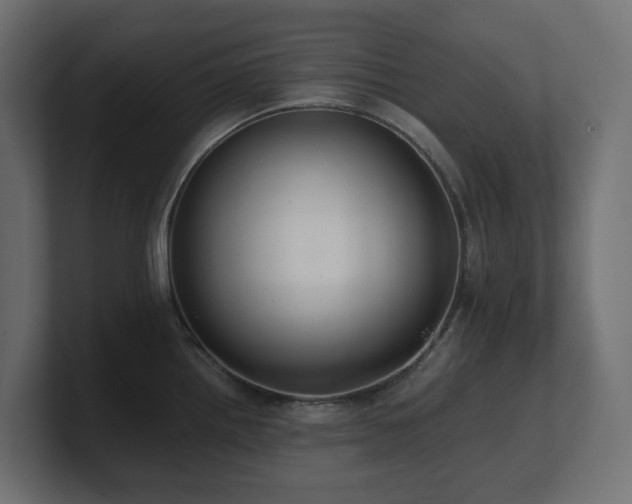 X0000100931242200806241358